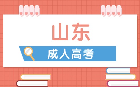 山東成考高起專